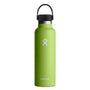 Hydro Flask 21 oz Standard Mouth with Flex Cap-[SKU]-Seagrass-Alpine Start Outfitters