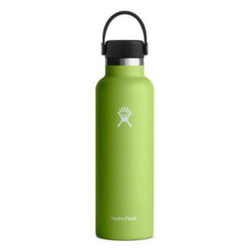 Seafoam green hydro sales flask