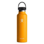 Hydro Flask 21 oz Standard Mouth with Flex Cap-[SKU]-Starfish-Alpine Start Outfitters