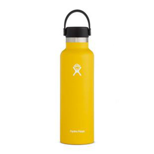 Hydro Flask 21 oz Standard Mouth, Alpine Country Lodge