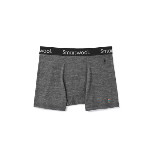 Smartwool Smartwool M MERINO BRIEF boxers, light gray heather